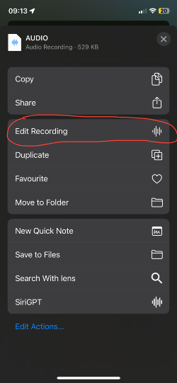 List of Options for Audio Recordings