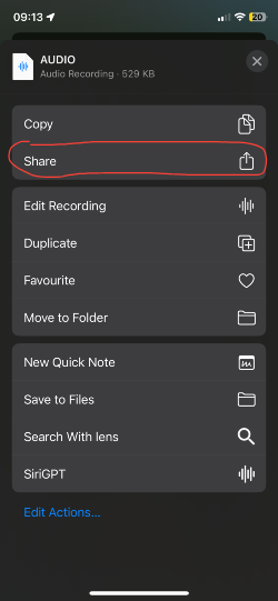Share Options Audio Recordings iPhone