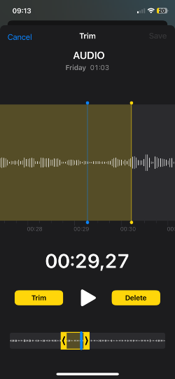 Trim Audio